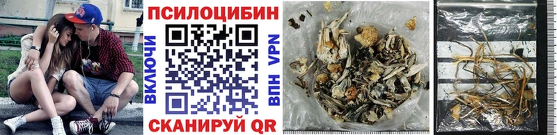 Галлюциногенные грибы Cubensis  цены   Удомля 